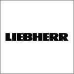 Consulting bei Liebherr